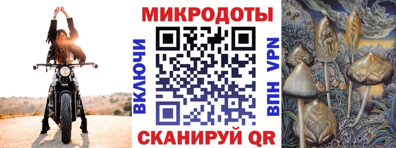 Галлюциногенные грибы мицелий где можно купить kraken ONION Енисейск
